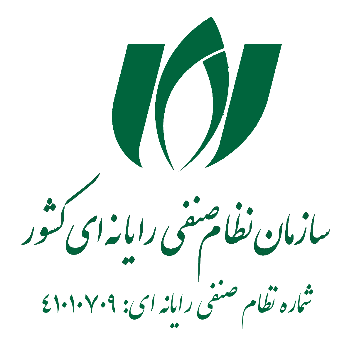 سازمان نظام صنفی رایانه ای کشور